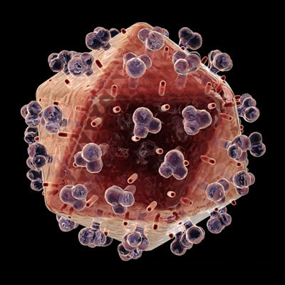 hiv viruses