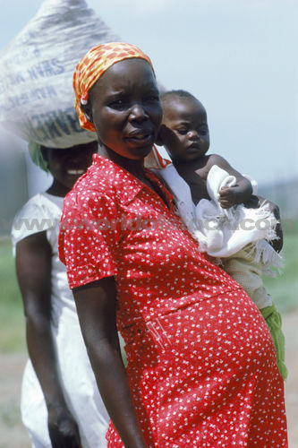 African Pregnant Woman 114